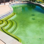 Keep Phosphate Levels Low to Prevent Algae in Your Pool