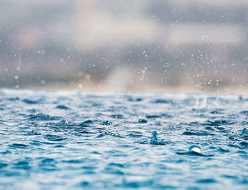 How Rainwater Can Harm Your Pool