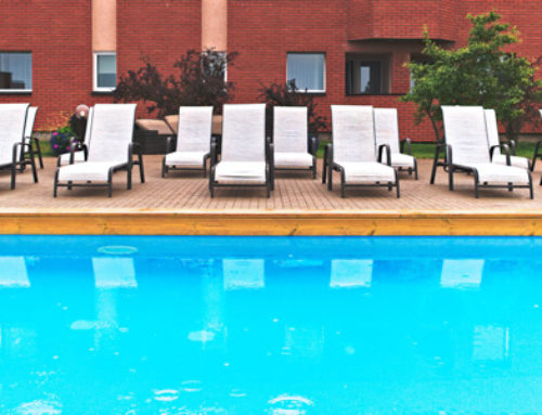 A Behind-the-Scenes Look at Swimming Pool Management