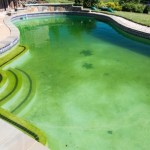 What can pool maintenance do about algae?